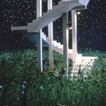 Vite, 1998